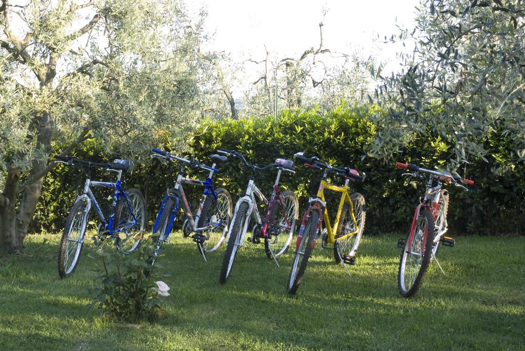Agriturismo Macinatico San Gimignano Zewnętrze zdjęcie
